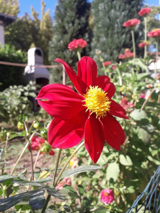 Apartman Mona Mostar Buitenkant foto