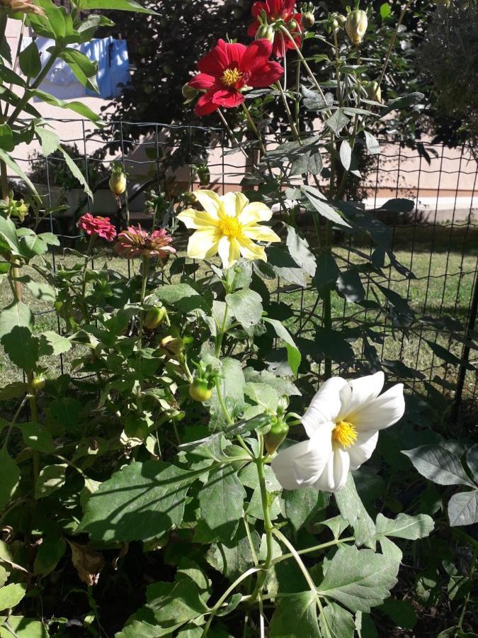 Apartman Mona Mostar Buitenkant foto